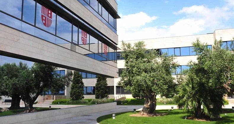 Iese dlp picture